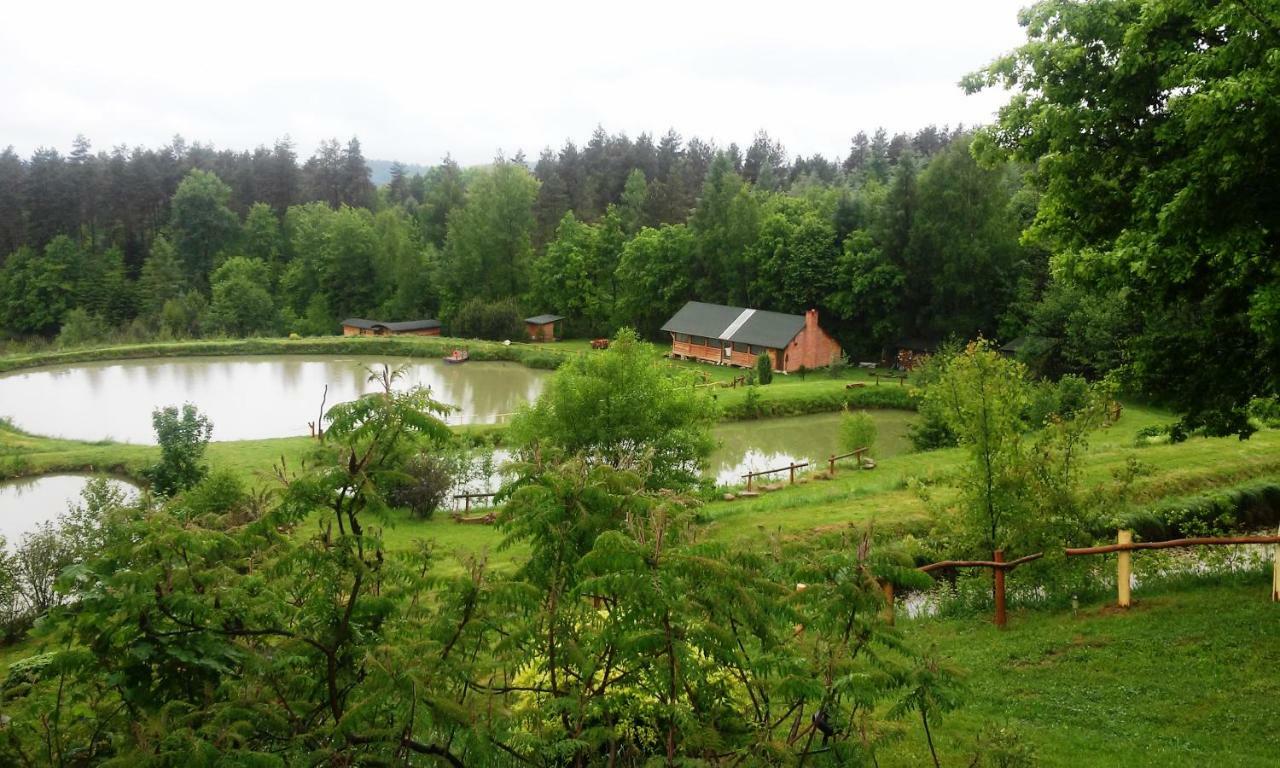 Dolina 4 Stawow Villa Krzywcza Buitenkant foto